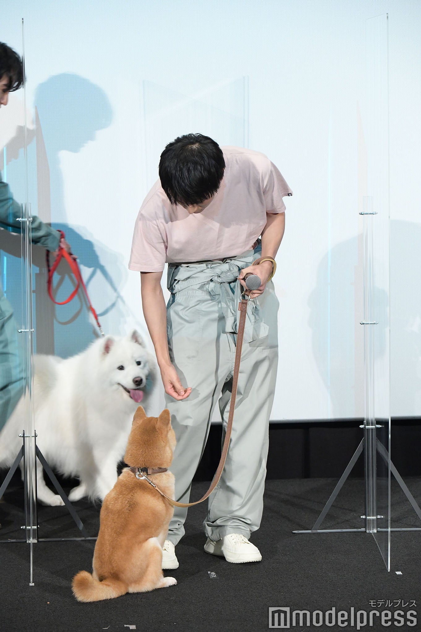 中川大志  （C）モデルプレス