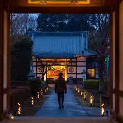 TEMPLE STAY ZENSO/提供画像