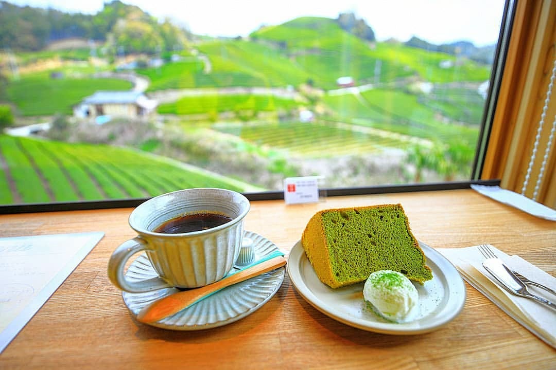 京都和束の茶畑カフェ「dan dan cafe」はSNSで自慢したくなる穴場スポット