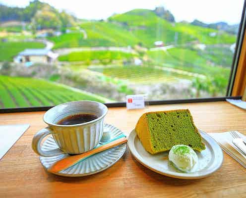 京都和束の茶畑カフェ「dan dan cafe」はSNSで自慢したくなる穴場スポット