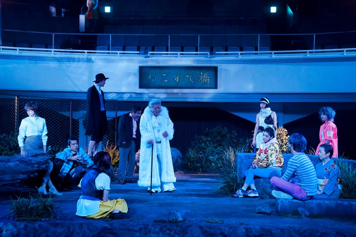 「ねこすて橋」での猫集会のシーン(C)2018 『猫は抱くもの』製作委員会