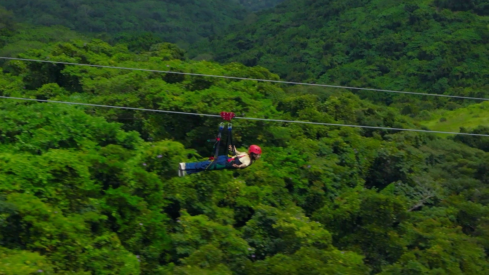 ジャングリア沖縄／提供画像
