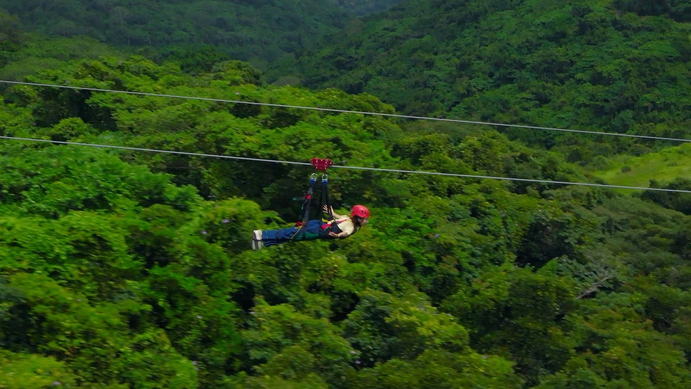 ジャングリア沖縄/提供画像