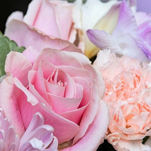 卒業にぴったりな花言葉を持つ花を厳選 お祝いの門出に人気の華やかなお花たち モデルプレス