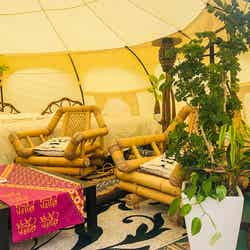 LOTUS NIGHT/画像提供:ブッキングリゾート