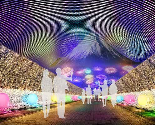 静岡・時之栖でイルミネーション「ひかりのすみか」2023年度は全エリア大幅リニューアル