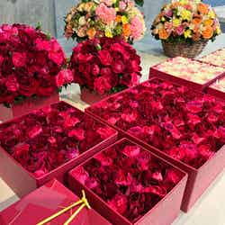 今年は【買わない母の日】へ。ニコライ・バーグマンで作る特別な花ギフト