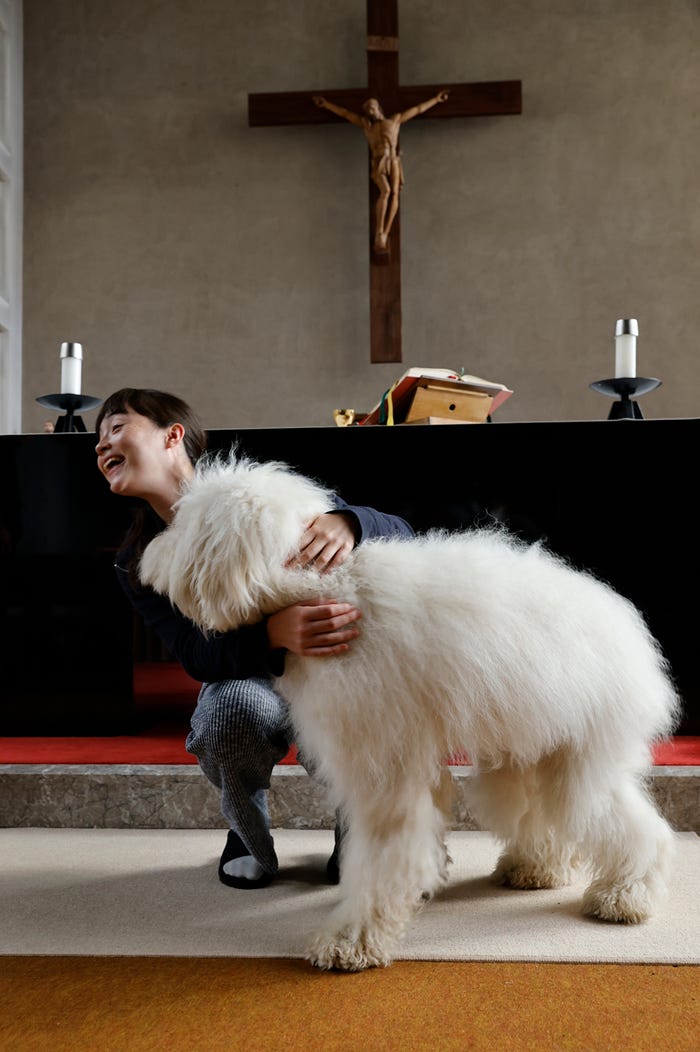 モトーラ世理奈、ベック(C)2022「ハウ」製作委員会