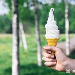 ミルクソフトクリーム