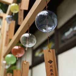 「風鈴小路」イメージ/画像提供:川越氷川神社