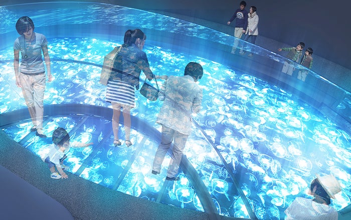 新クラゲ展示エリア（イメージ）／画像提供：すみだ水族館 