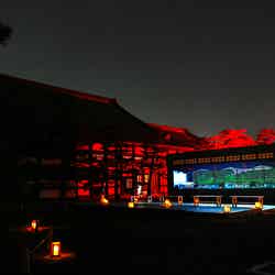 アートアクアリウム城 過去開催時の様子/画像提供:アートアクアリウム城 実行委員会