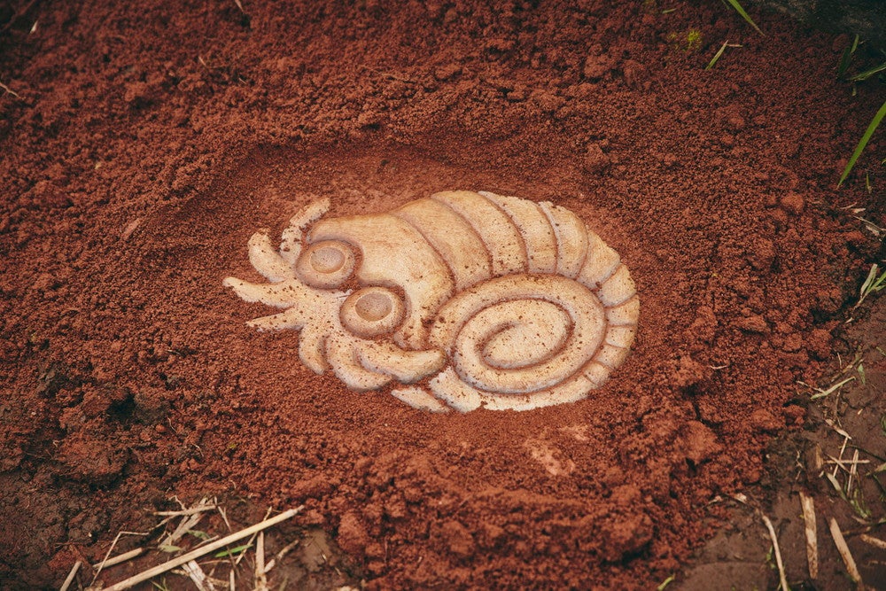 ポケモンワンダー／画像提供：ポケモン