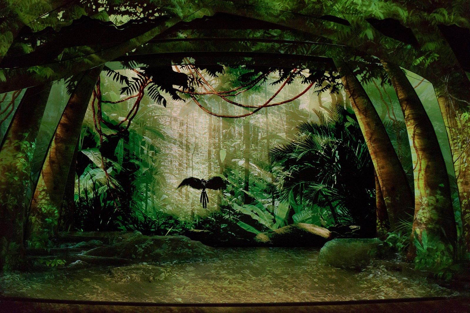 「アウト・オブ・シャドウランド 」（C）Disney