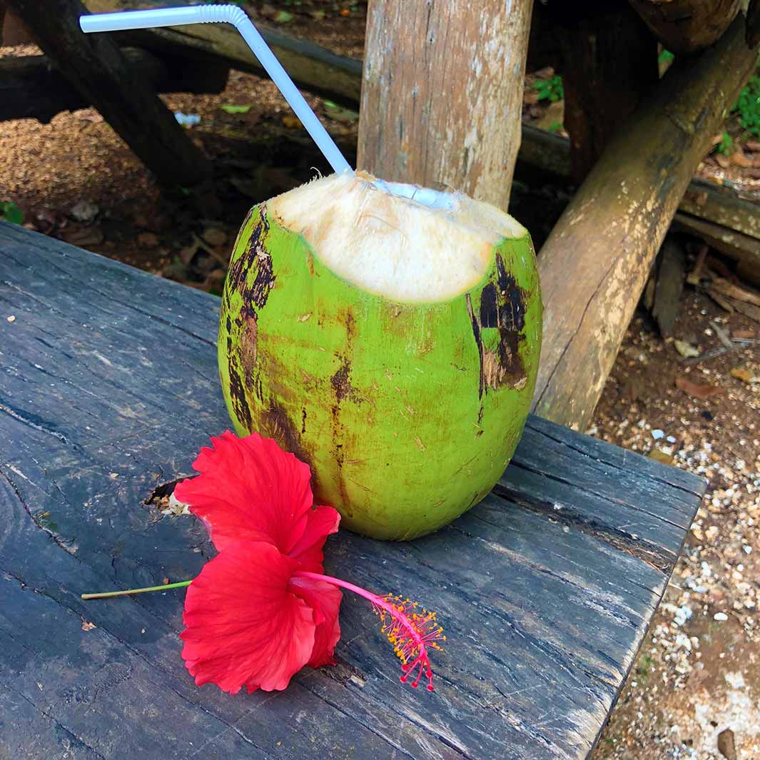 その場で飲み口をカットしてくれるココナッツジュース（C）Marianas Trekking