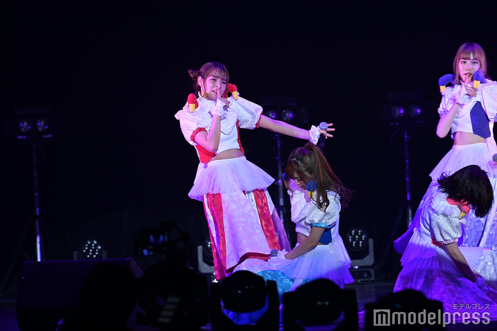 豆柴の大群（C）モデルプレス