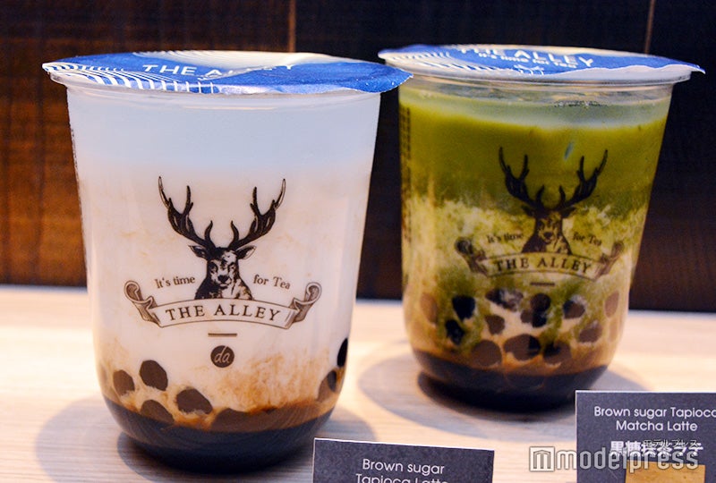 ジ アレイ（C）モデルプレス