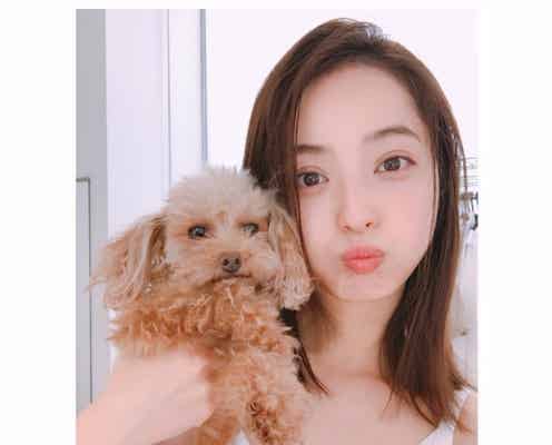 佐々木希、愛犬との2ショットに癒される!ナチュラルな美貌に「なんでそんなに美しいの」と反響