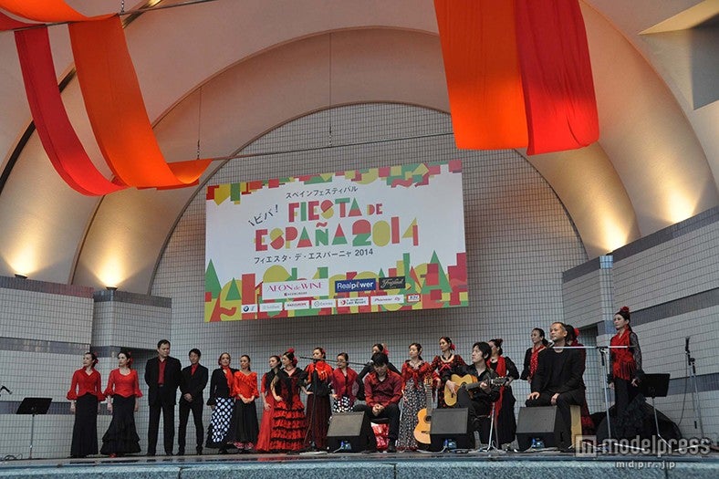 フラメンコ／画像提供：フィエスタ・デ・エスパーニャ2015実行委員会