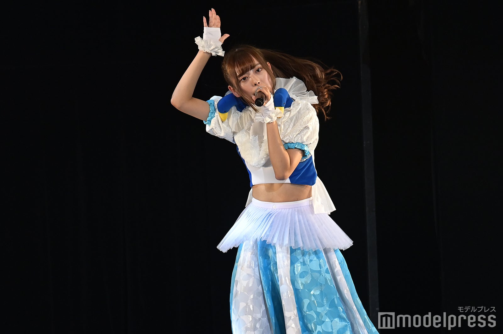 豆柴の大群（C）モデルプレス