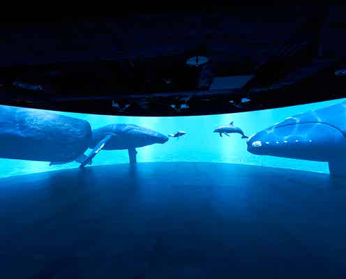 「カワスイ 川崎水族館」世界の水辺環境を再現&生きもの約230種展示