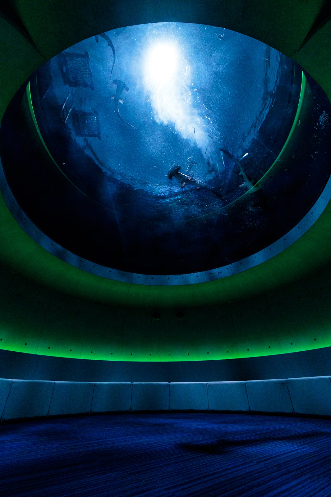 四国水族館（C）四国水族館