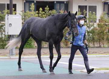 【日本ダービー】リアライズシリウス＆アウダーシア 坂路でともに単走 大村助手も絶好の動きに期待