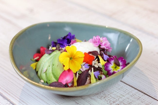 【新メニュー】サーモンとアボカド、温玉のガーデンライスボウル 1,480円(税抜)/画像提供:マッシュホールディングス