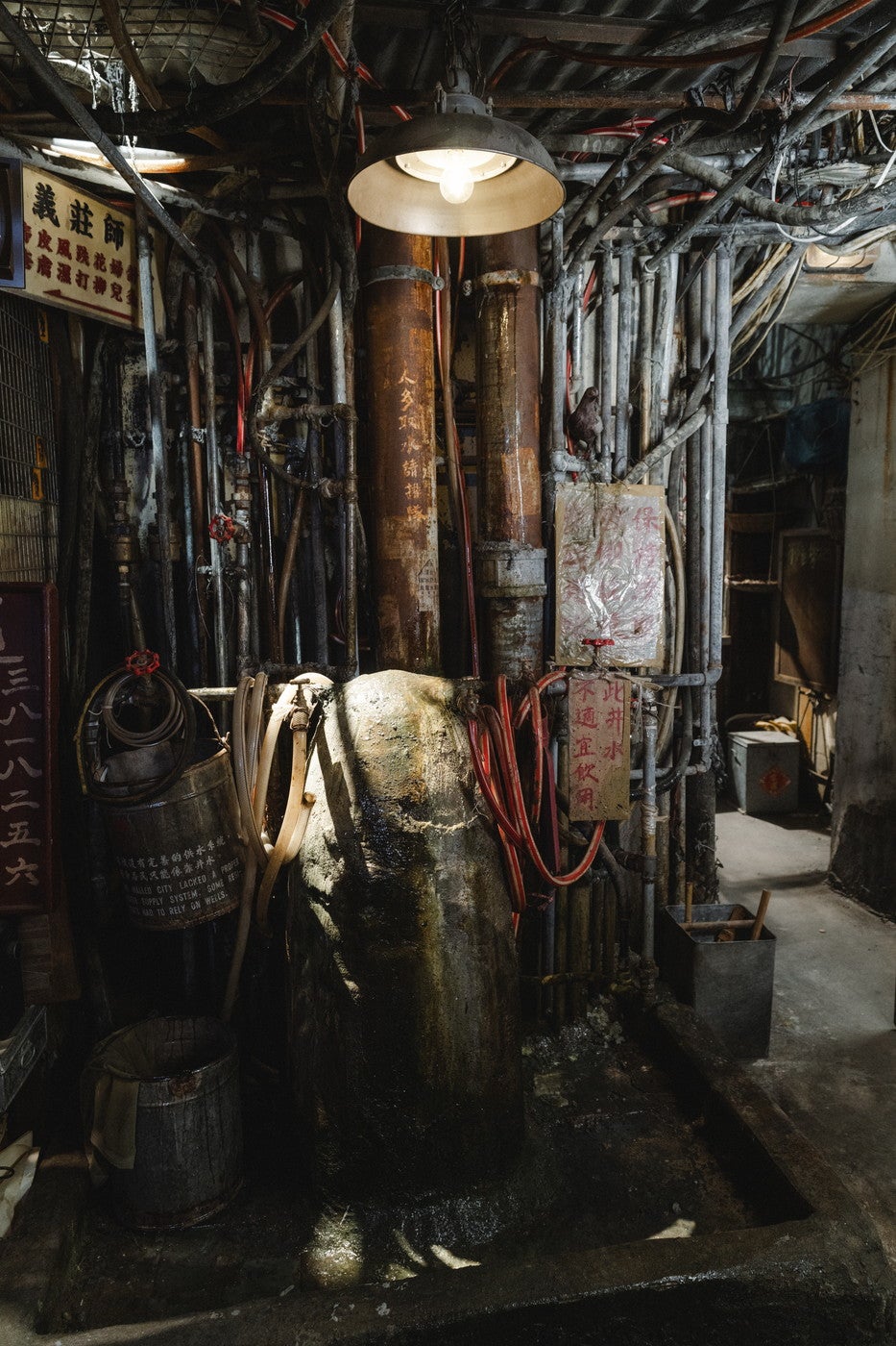 「九龍城寨： 映画の旅」展／提供画像