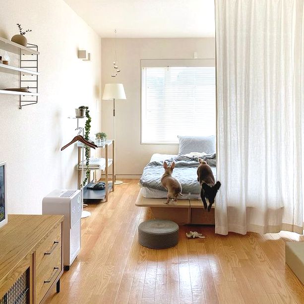 狭いワンルームをおしゃれにレイアウト 家具の配置を変えるだけで心地良い空間に モデルプレス