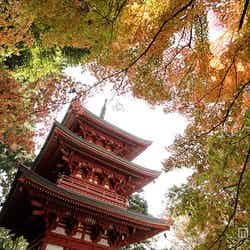 眼病平癒に利益のある「油山寺」