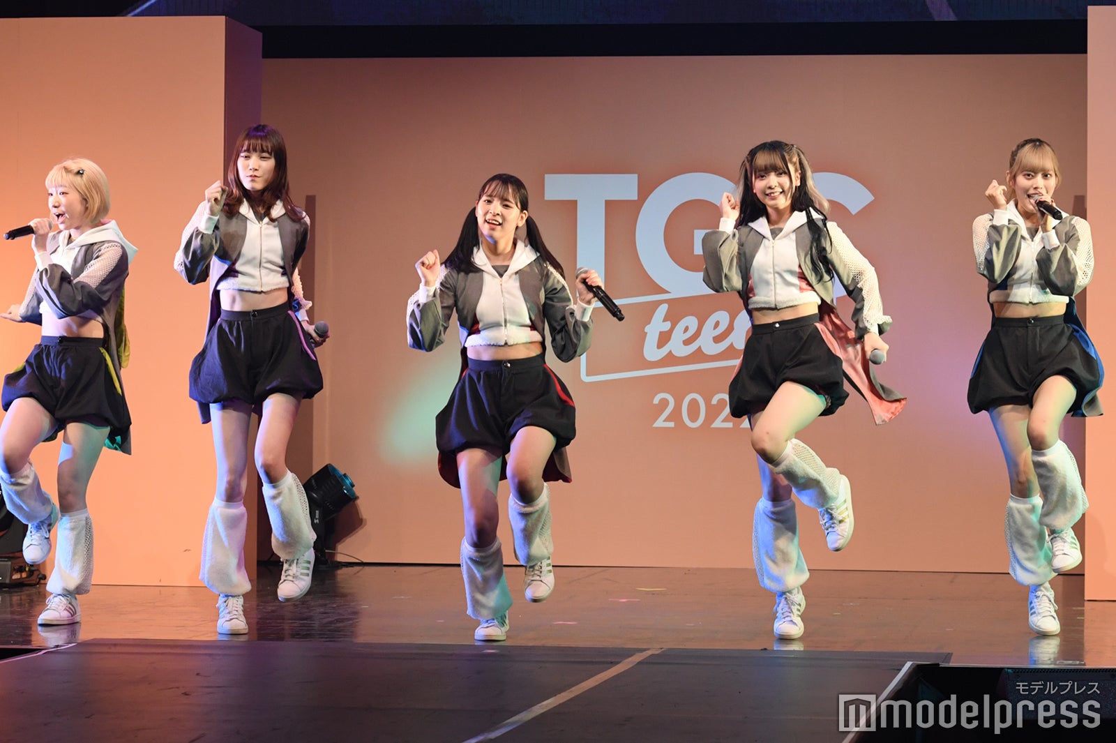 豆柴の大群（C）モデルプレス