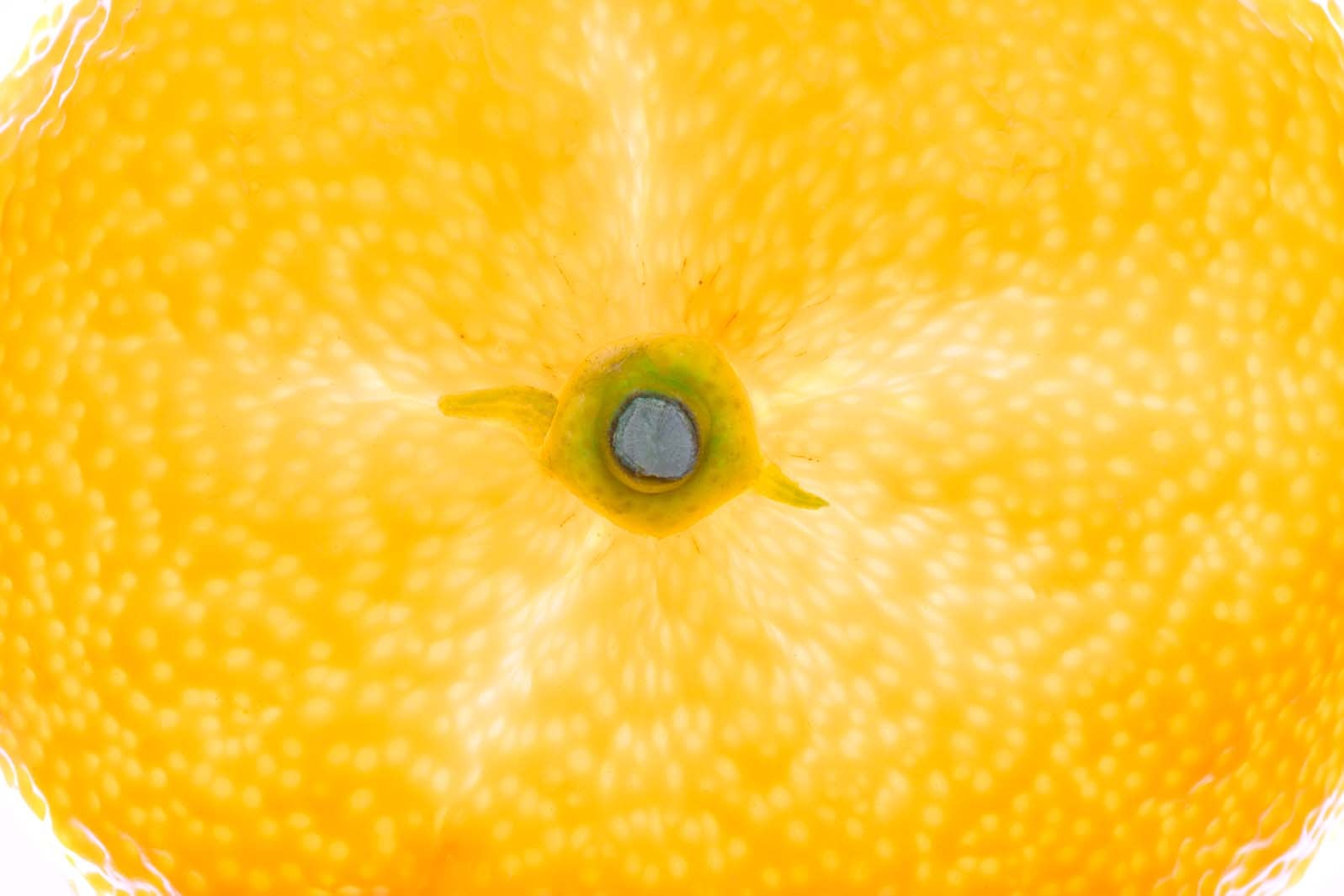 ゆず（モイストラインに配合）