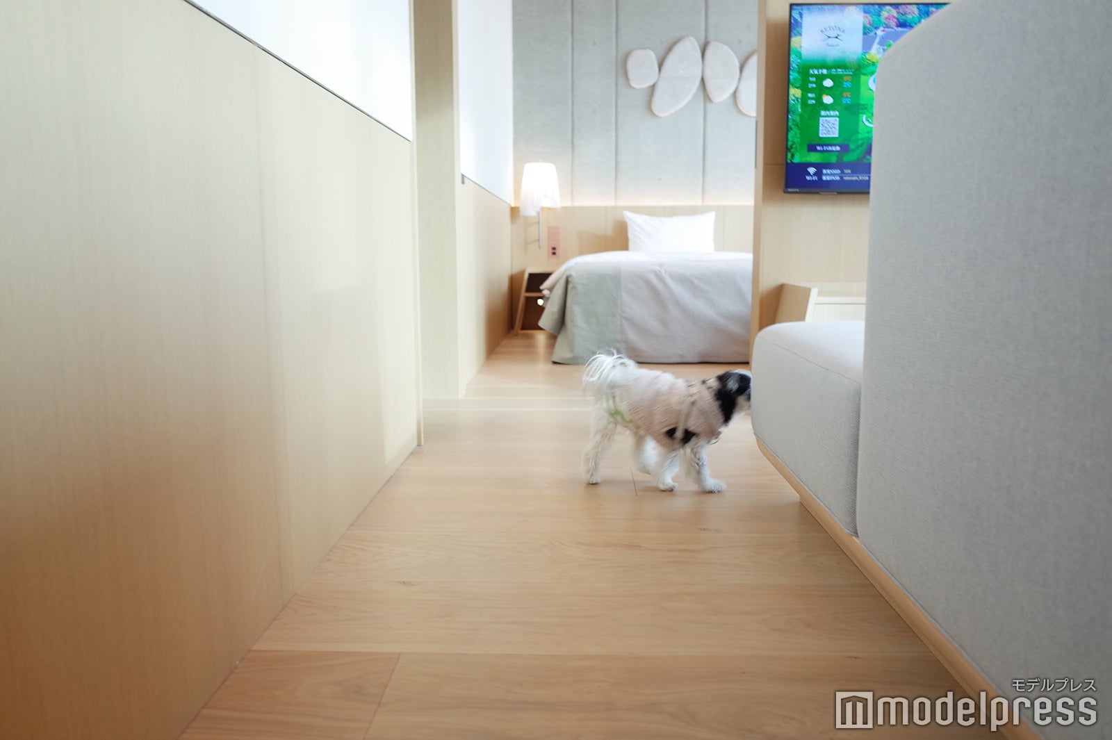 RETONA HAKONE（C）モデルプレス