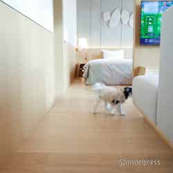 RETONA HAKONE(C)モデルプレス