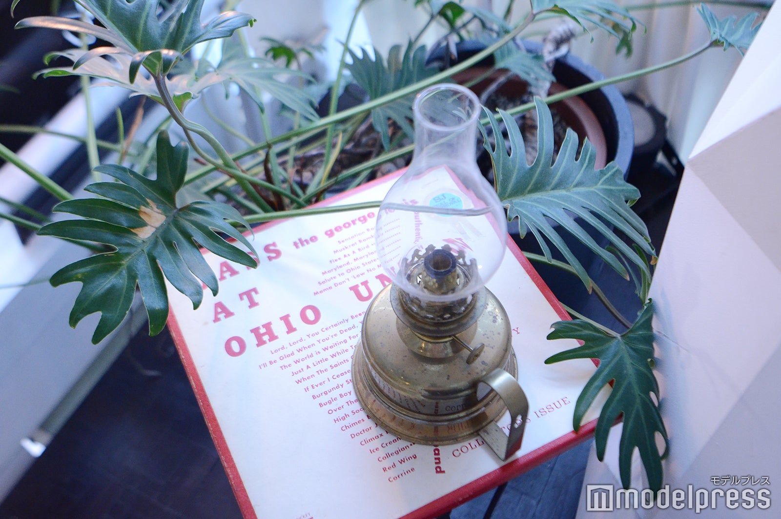 TREE by NAKED yoyogi park（C）モデルプレス