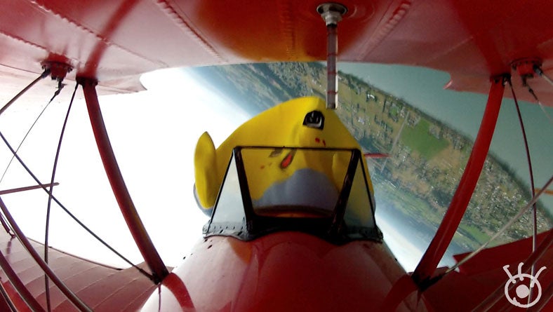 アクロバットをするふなっしー