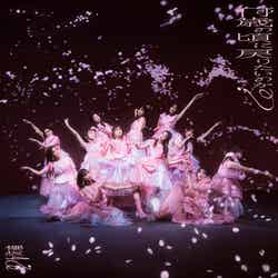 櫻坂46 8thシングル「何歳の頃に戻りたいのか？」（2月21日発売）初回仕様限定盤TYPE-D（提供写真）