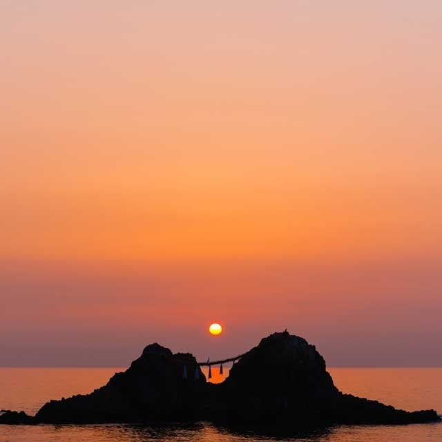 夏至に行われている風習とは？食べると良いものは？専門家に聞いた モデルプレス