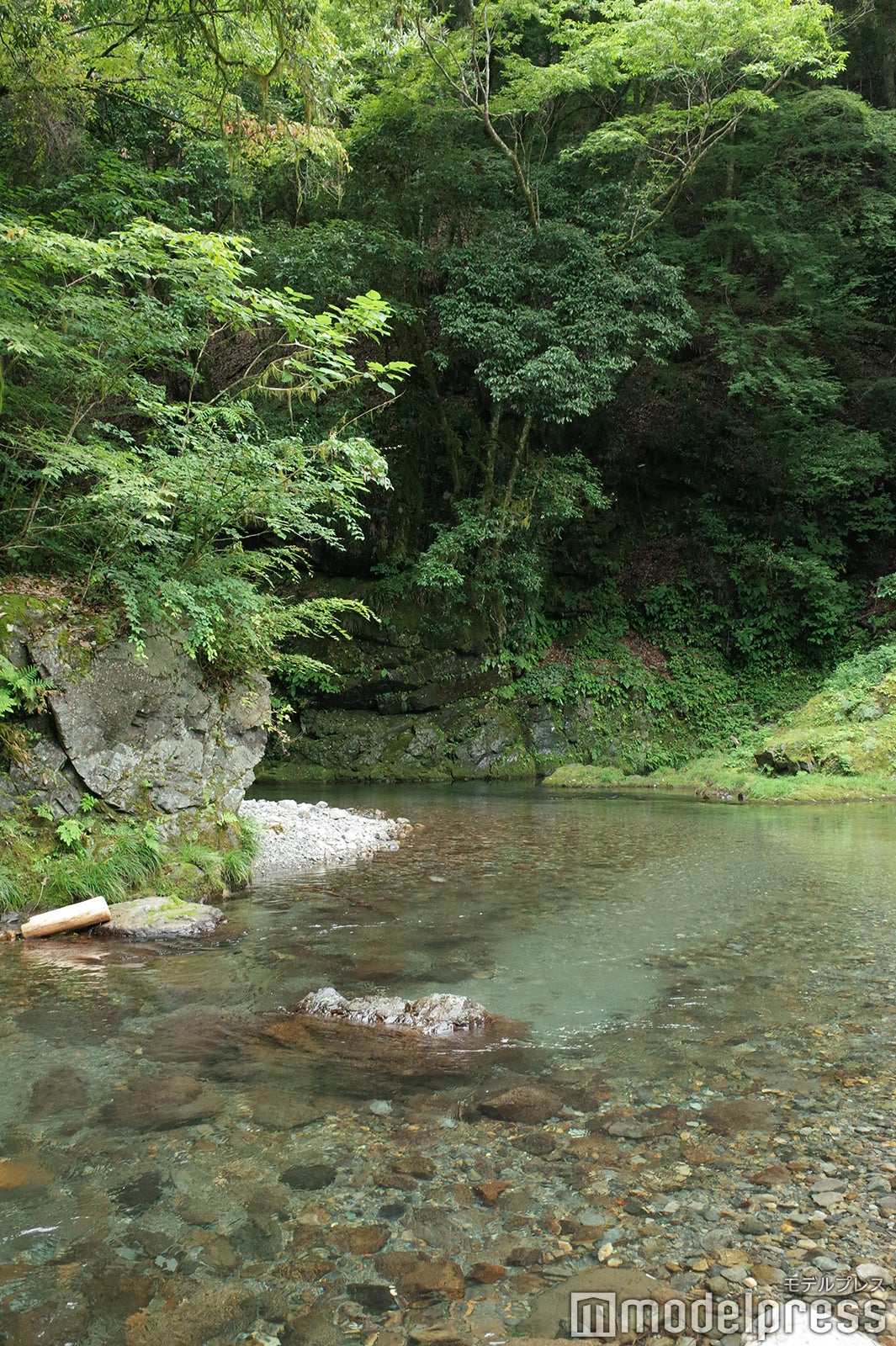ミューの森（C）モデルプレス