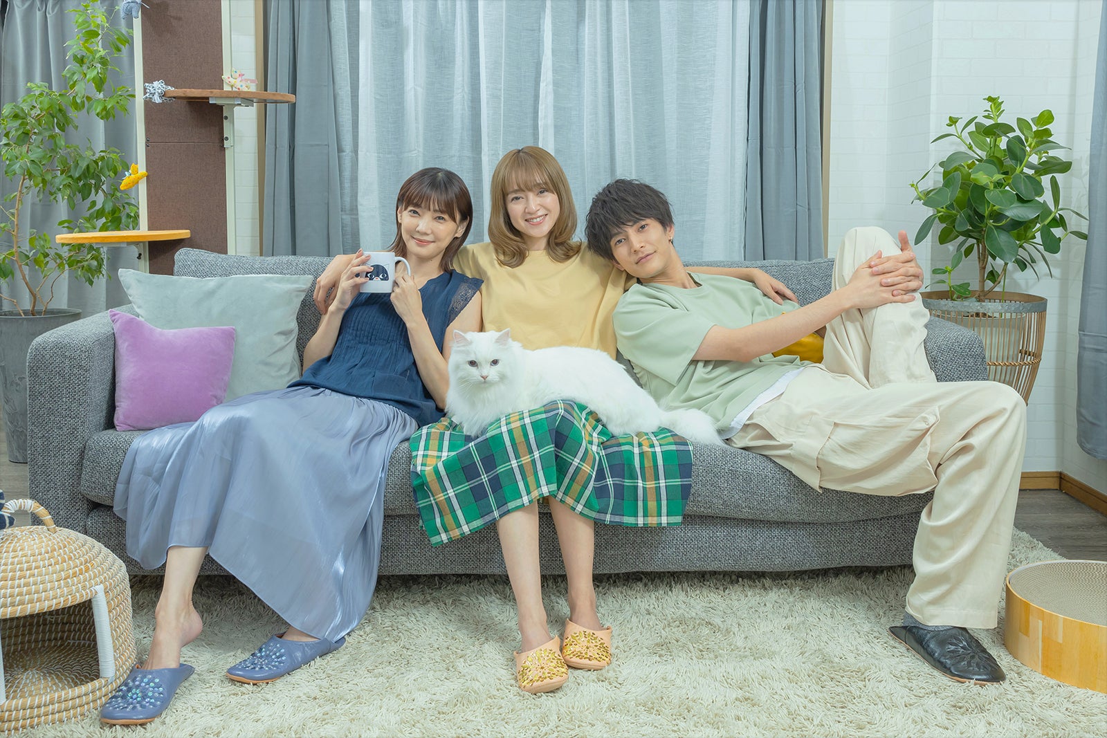 安達祐実・倉科カナ・渡邊圭祐が猫好きな主人公に「三日月とネコ」実写映画化