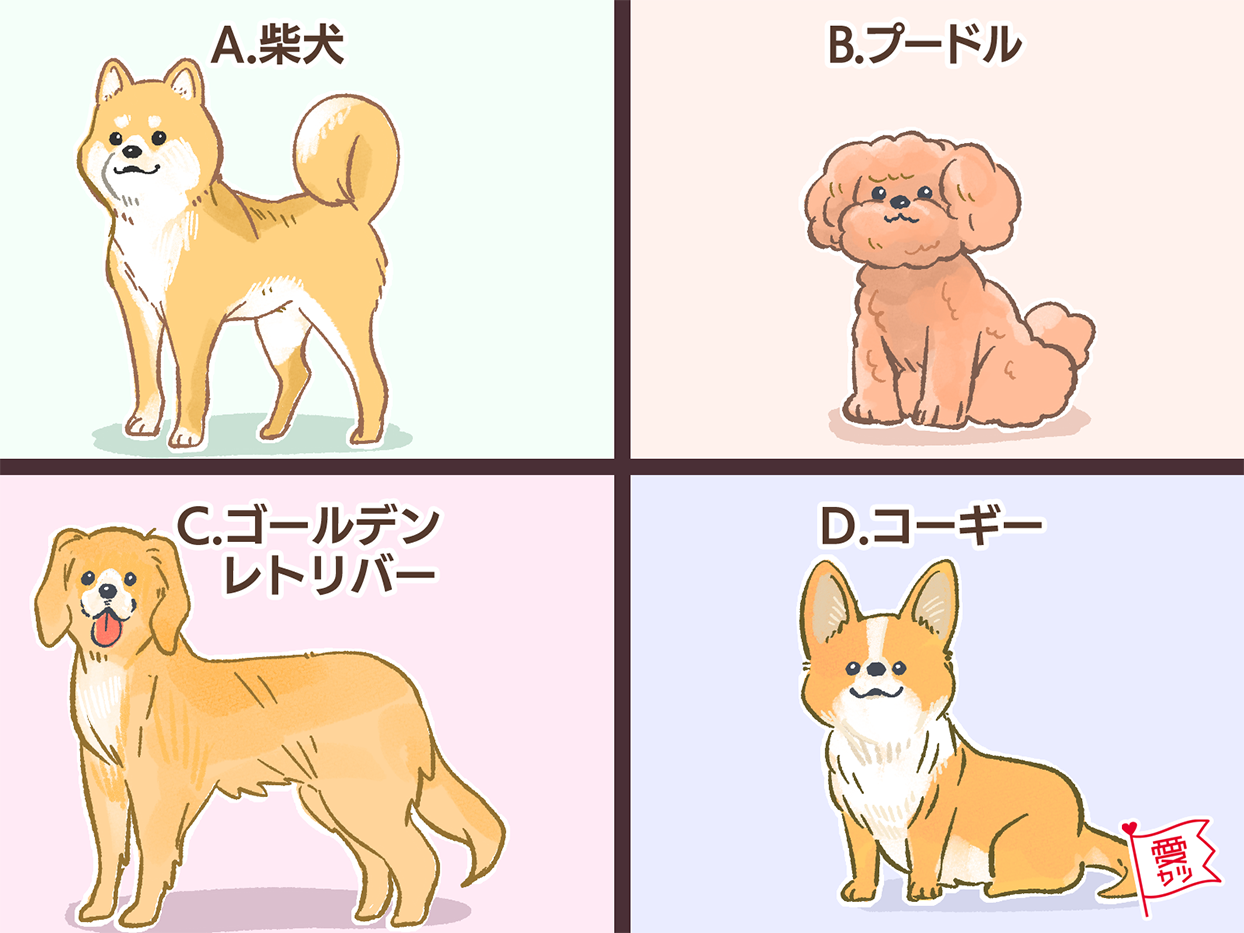 パートナーにしたい犬でわかる！あなたと相性のいい「男性の年齢差」