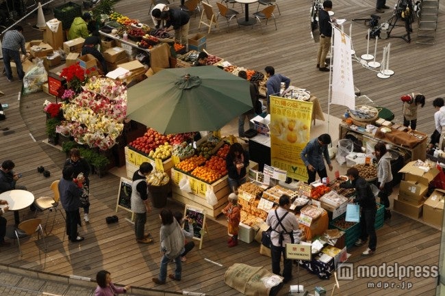 「東京ハーヴェスト」／画像提供：オイシックス