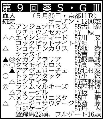【葵S展望】タガノアラリア、タマモイカロスら快速馬がスピード比べで争う