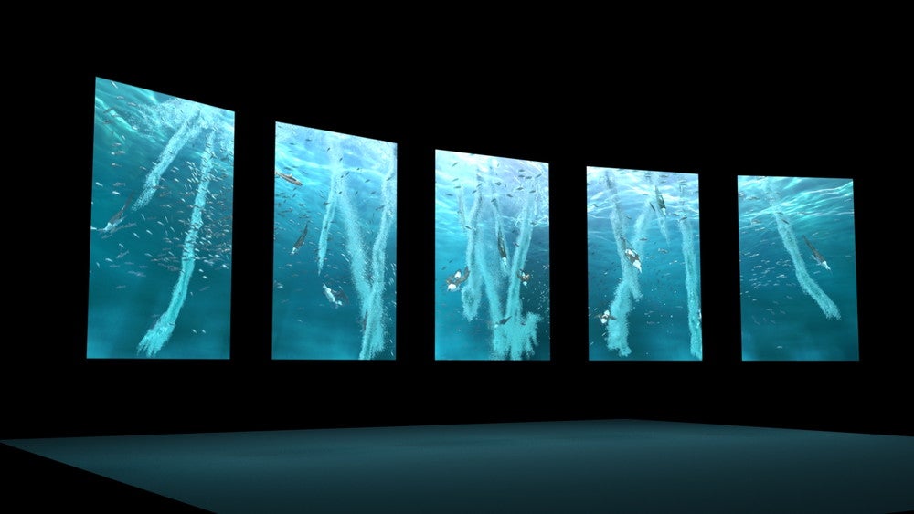 DMMかりゆし水族館／画像提供：DMM.com