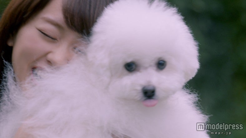 桐谷美玲／新CM「モフモフ」篇