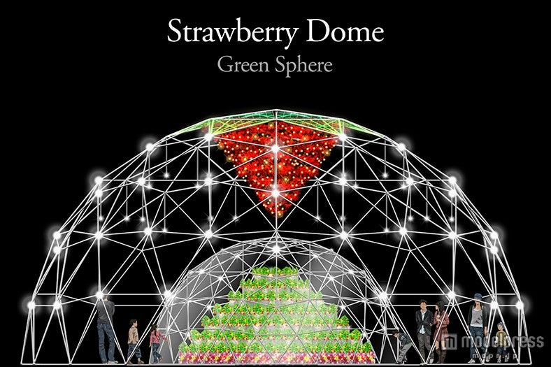 ストロベリードーム（イメージ）／画像提供：東京ドーム
