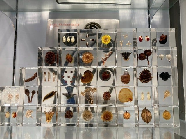 めっちゃ綺麗…♡