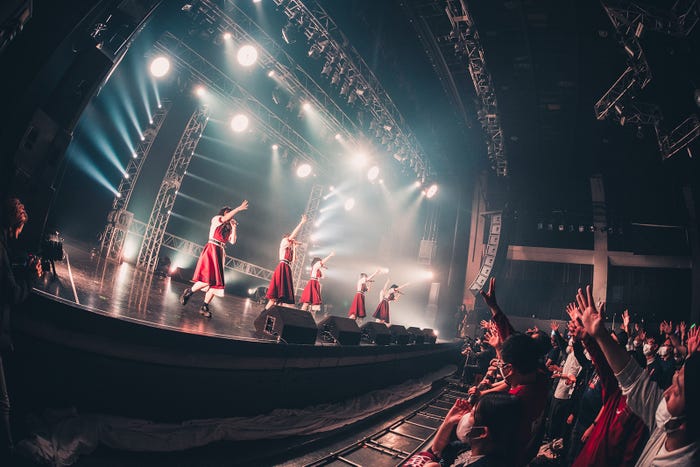 かすみ草とステラ/撮影:真島洸 (提供写真)