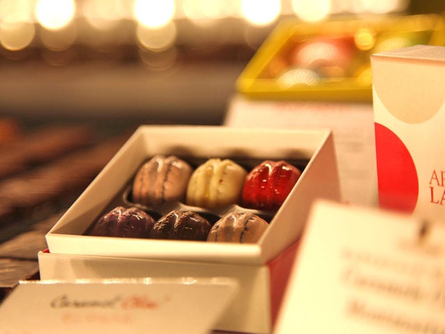 column_794e8e8f002f36cfdf0b82a93a2fc843.